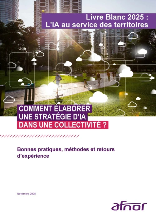 IA au service des territoires